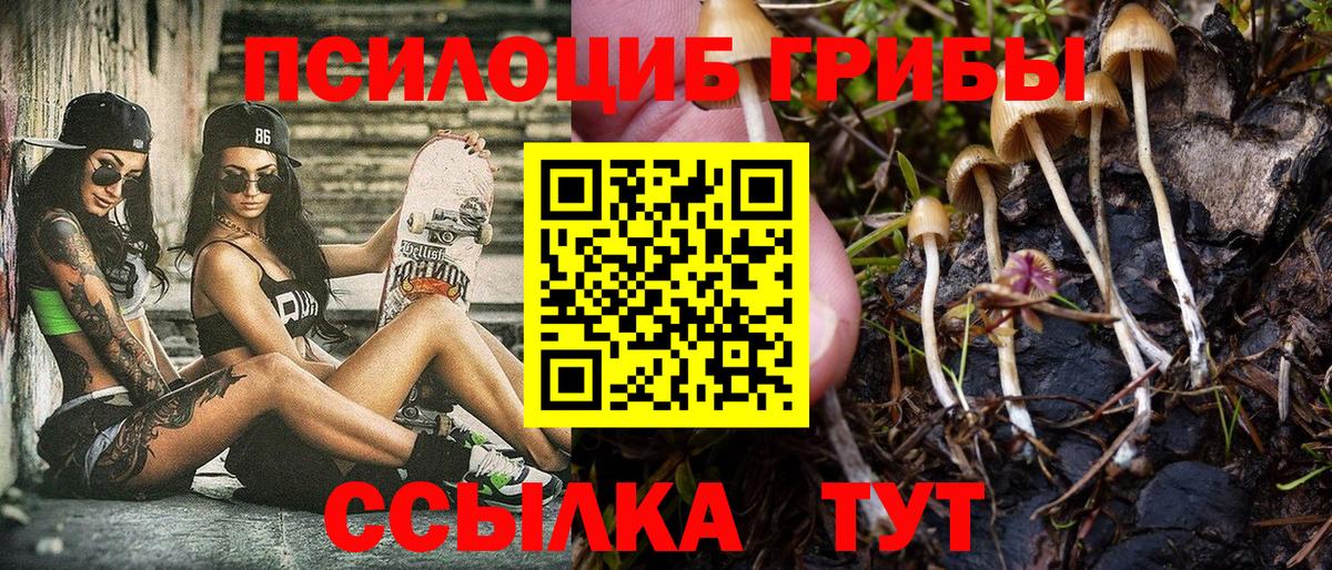 Галлюциногенные грибы Cubensis  Вход с VPN  Чайковский 